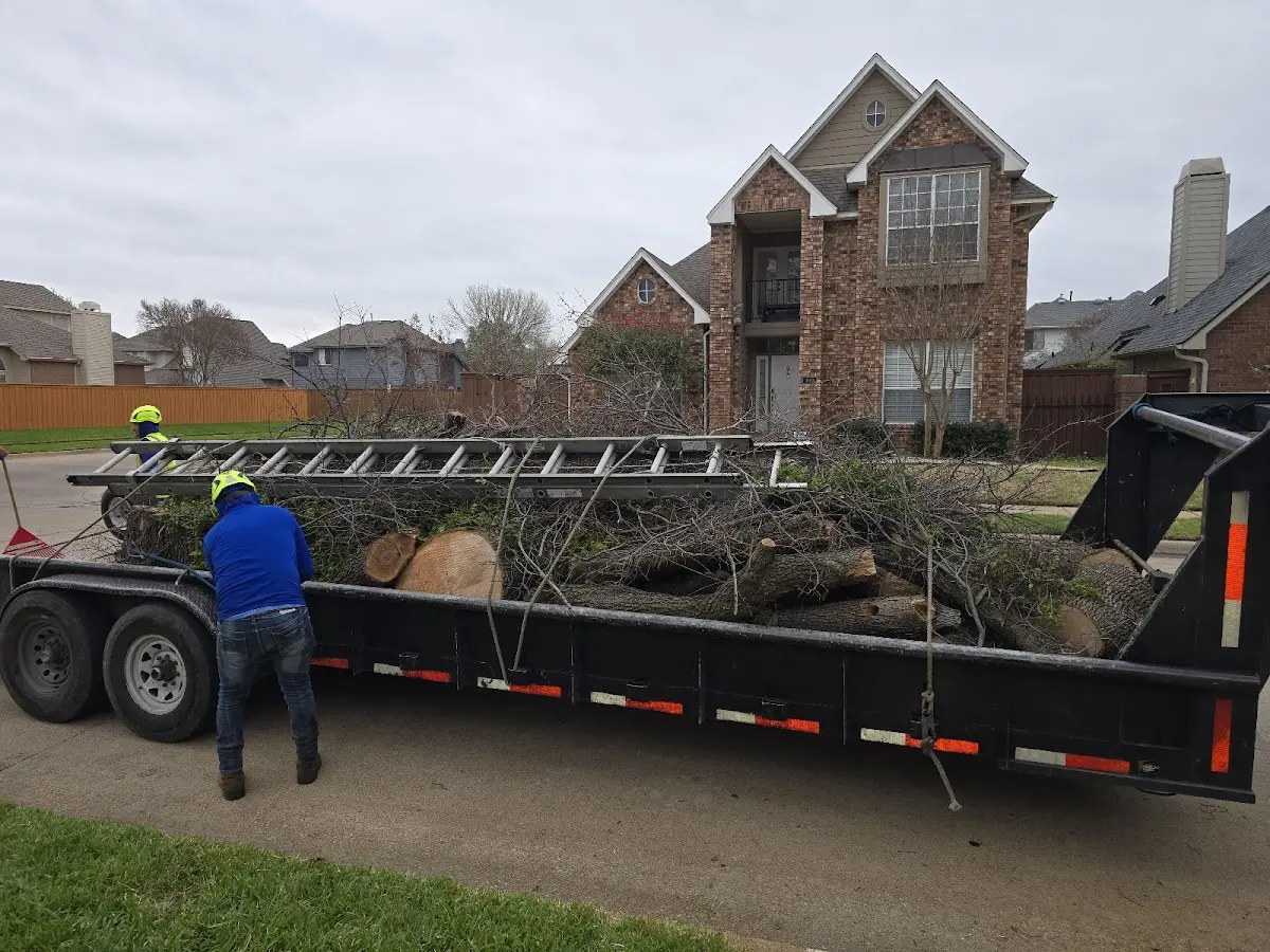 Expert Tree Removal with proper safety equipment in Greenfield